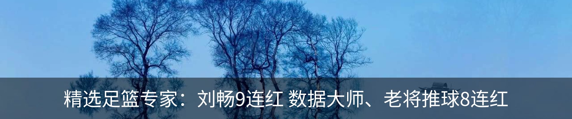 内页banner